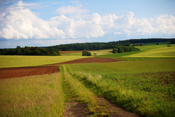 Landscape in Hohenlohe near Ravenstein in Baden-Wuerttemberg, Germany, Europe