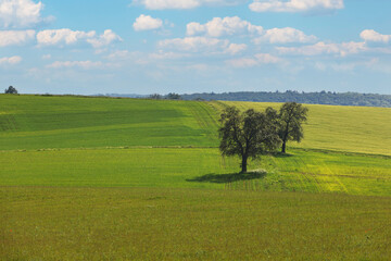 Landscape in Hohenlohe near Ravenstein in Baden-Wuerttemberg, Germany, Europe