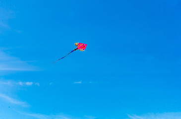 Kite And Blue Sky