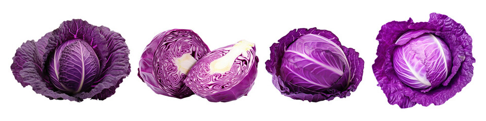 Obraz premium Red cabbage vegetable food set