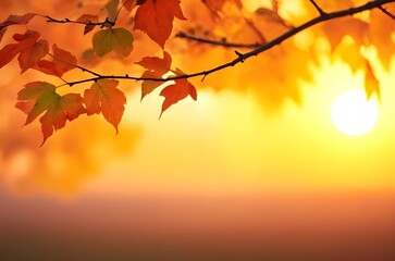 Photograph of Autumn Colorful Leaves Tree with Sunset Background for Orange Color Theme, Featuring Copy Space