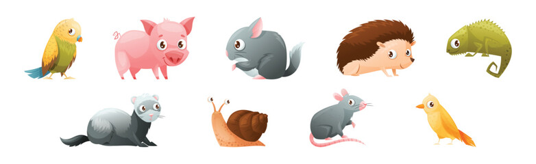 Cute Home Pet Animal with Parrot, Pig, Hedgehog, Chameleon, Ferret, Snail and Rat Vector Set