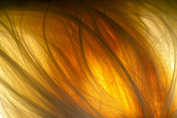 Abstract lock of human's hair. Illuminated hair background, wallpaper