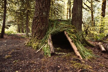 Selbstgebauter Unterschlupf im kanadischen Wald aus Ästen und Blättern
