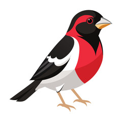 illustration of a rose-breasted grosbeak