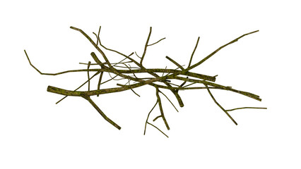 pile of tree branches