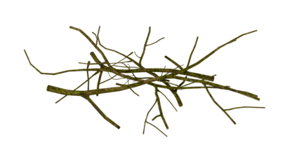 pile of tree branches