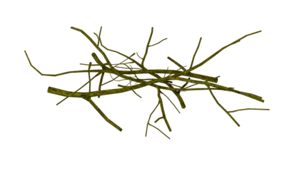 pile of tree branches