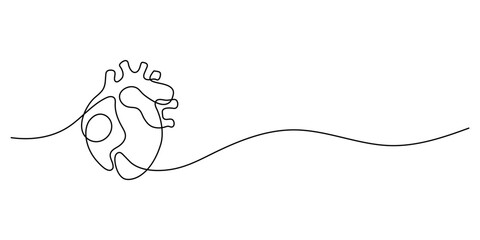 Human heart internal organ in continuous line drawing on white background. Thin line illustration in the style of minimalism. Heart health concept
