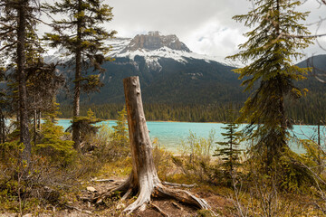 Emerald Lake in Kanada: Smaragdgrünes Wasser und majestätische Berge