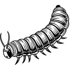  Caterpillar silhouette vector illustration 