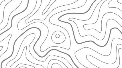 topographic contour background. abstract wavy background. contour background. modern Topographic map wallpaper. topographic background.