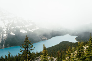Peyto Lake bei Nebel: Mystische Schönheit in Kanada entdecken