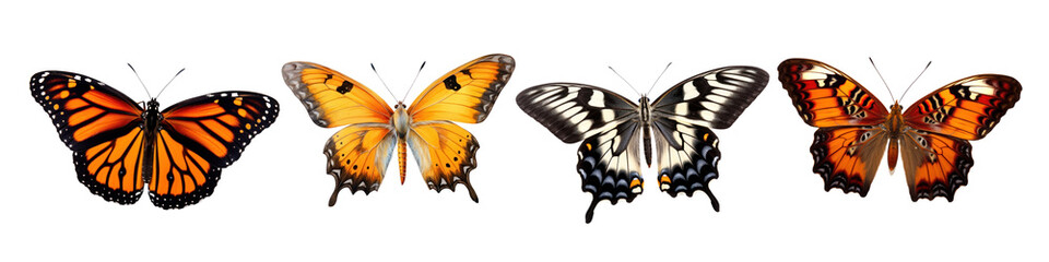 Fototapeta premium Colorful butterflies in a row png set