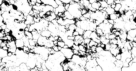 Black and White Marble Stone Vector Texture