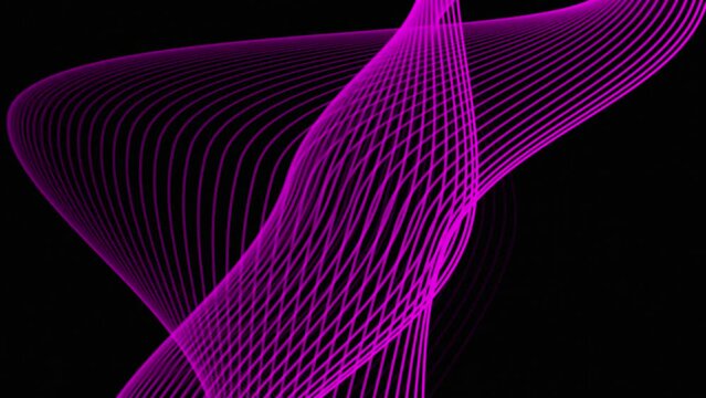 abstract pink lines wave background, motion backdrop 4k video