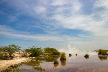 Alolabad geothermal area in Ethiopia with surreal landscape of colorful hot springs, steaming...