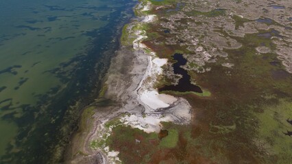 Natural wetlands, marsh and coastline at Cape Hatteras, North Carolina in Outer Banks at Durant Point