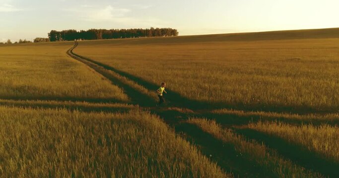 Aerial shoot of a sporty child runs through a wheat field. Evening sport training exercises at rural meadow. A happy childhood is a healthy way of life. Outdoor runing traning. Radial movement, sun