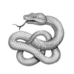 Fototapeta premium Detailed Black and White Illustration of a Coiled Snake with Intricate Scale Patterns and Forked Tongue