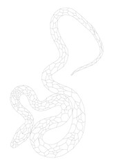 snake outline in polygonal mosaic style for decoration or coloring. symbol of the year 2025 snake. BW vector illustration.