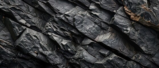 Deep black rock texture features intricate patterns, resembling veins of obsidian in darkness