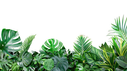 Lush green border of tropical leaves on white background.