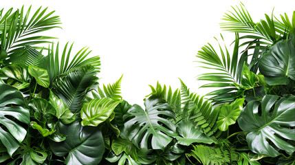 Lush green border of tropical leaves on white background.