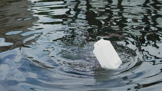 Grey Seal Plays With White Buoy in Marine Conservation Program. Phoca, Nerpa, Grey or Spotted seal swimming in water. Aquatic enclosure for housing endangered sea and ocean inhabitants