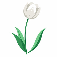 illustration of a tulip