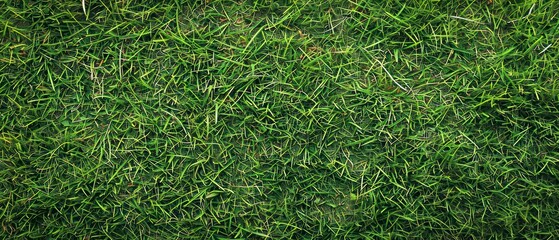 Grass texture embodies the tactile sensation of running your fingers through a verdant sea of green