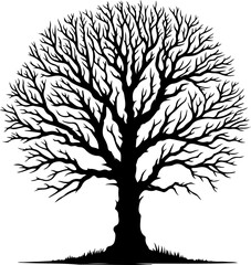 Obraz premium Silhouette of tree with branches without leaves