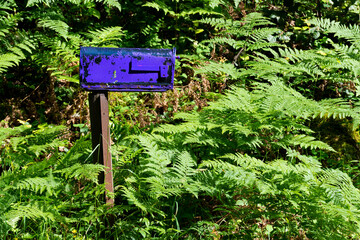 An image an old rural postal box painted a bright purple color. 