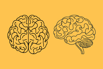 Brain outline vector illustration.