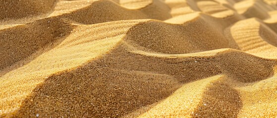 Obraz premium grain of smooth raked sandpit sand contributes to a sense of calm and peacefulness