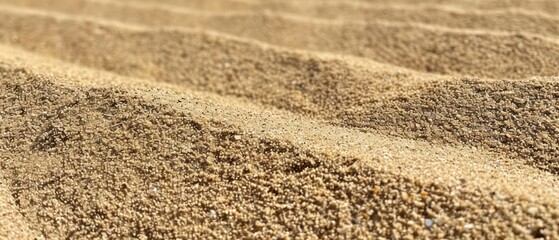 Naklejka premium grain of smooth raked sandpit sand contributes to a sense of calm and peacefulness