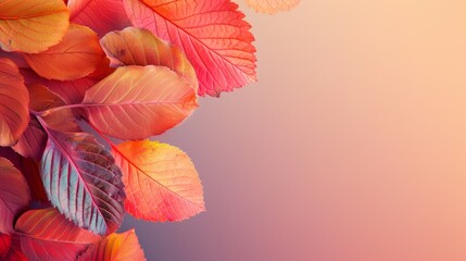 Obraz premium Spectacular array of colorful autumn leaves against soft gradient backdrop. rich hues of red, orange, and yellow create warm, seasonal display perfect for fallthemed designs.