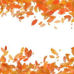 leaves blowing in the wind. leaves falling. seasonal leaves. Leaf. Greenery 