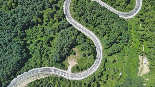 Aerial view of winding asphalt mountain road among green trees in summer.