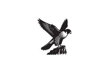 Obraz premium Peregrine Falcon silhouette vector style with white background5