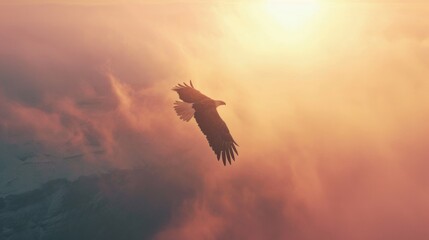Eagle flying in sky in Grand Canyon in winter with snow.