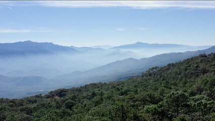 Shots in Nayarit above the mountain range in Mexico, is early in the mornig and the mis covered the mountains, in front we can see the forest © Alejandro
