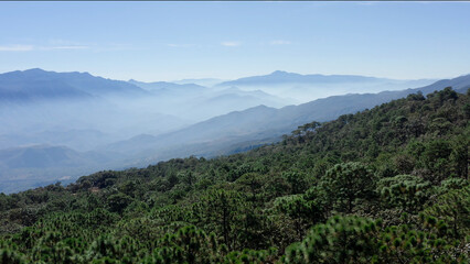 Shots in Nayarit above the mountain range in Mexico, is early in the mornig and the mis covered the mountains, in front we can see the forest © Alejandro
