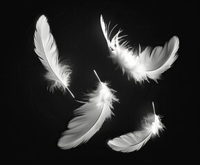 Obraz premium Feathers, flying in the air,