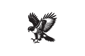Obraz premium Red-tailed Hawk silhouette vector style 