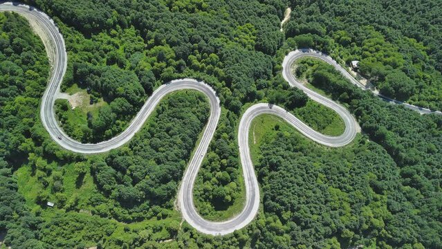 Aerial view of winding asphalt mountain road among green trees in summer.