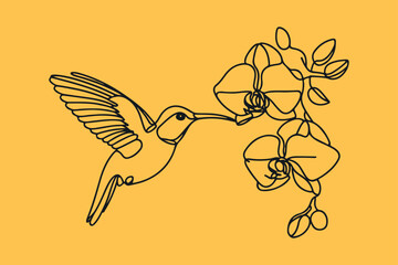 a Ruby-throated Hummingbird with Orchid flowers,