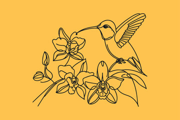 a Ruby-throated Hummingbird with Orchid flowers,