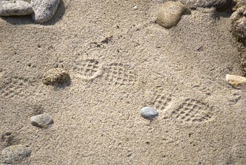 Traces de pas sur le sable .