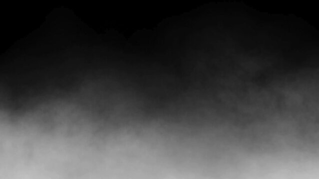 smoke on black background. gray smoke effect on black background. thick fog or smoke rising on black backdrop